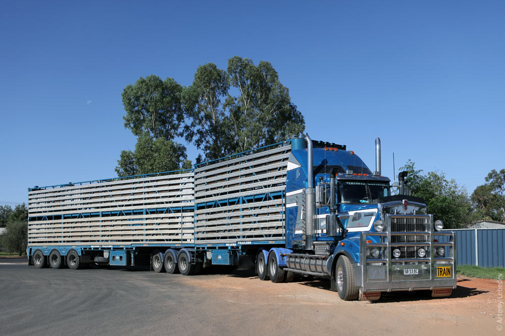 Длинный грузовик. Грузовые автопоезда Австралии. Дальнобойщики в Австралии автопоезда. Грузовики в Австралии Дальнобой. Самый длинный автопоезд в Австралии.