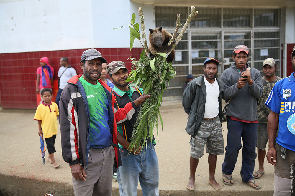 http://www.tema.ru/travel/papua-new-guinea/4F2C6191.jpg